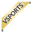 VSports